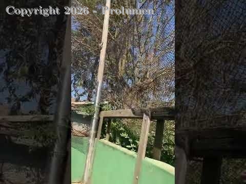 78ba154217f71dad9bdbf589b9ebdded.jpg